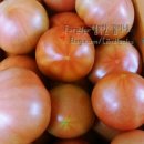 아영농장 이미지