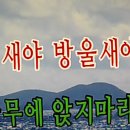 방울새/이수미 이미지