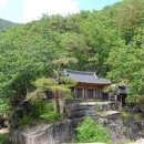 구곡민박 Daum카페