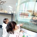 물누리체험관 이미지