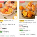 오늘의 잡설 - 2026.04.12 (일)