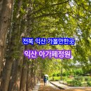 은파랑여행사