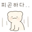 소셜써치 이미지