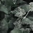 정사당