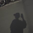 파란섬 이미지