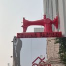 고고쏘잉