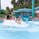 스플라스리솜 이미지