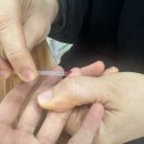 서귀포보건소 | 2025년 서귀포보건소 모바일 헬스케어사업 참여 후기