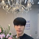 디그먼트 이미지