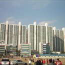 다대포 국제 연날리기 (2010. 3. 28) 이미지