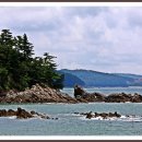 꾸지나무골해수욕장 이미지