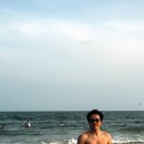 달베트남 이미지