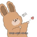 필름다르 이미지