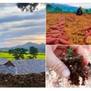 숲 체험 리틀 포레스트 이미지