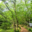 160610 장복산(진해구민회관-장복산 조각공원-마진터널-장복산-덕주봉-안민고개-경화역) 이미지