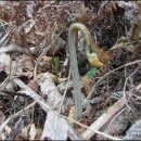 화창농원 이미지