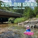 주포농장 | 여름 아이와 강원도 인제 여행 물고기 정말 많은 필례계곡