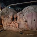 셀레늄스파 이미지