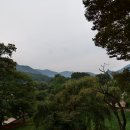 환벽당길 티스토리