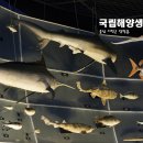 서천해양캠핑장 이미지