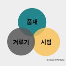 국가대표 MTA 태권도 이미지