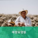 애망요양원 네이버블로그