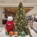 남성요리 | 렌스코브 쏠러스 인덕션 프라이팬 사용 후기 (신라면 투움바 &amp; 닭구이 볶음 요리)