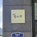 편백돈나무