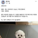 경축) 락싸 변호사님 득녀 소식 이미지