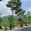 아미캠핑장 이미지