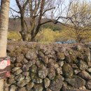 달전시목지 이미지