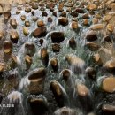 삼성여성경로당 이미지