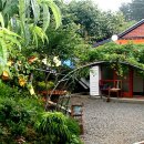 매실사랑펜션 이미지