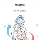 수승화강한의원 네이버블로그