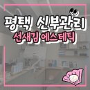 평택프라자약국 | 평택 신부관리 선새김 에스테틱에서 탈리온 프리미엄으로 관리 받았습니다