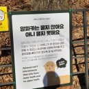 알파카 소풍 펜션 | 11월 2박3일 강원도 여행 1일차: 알파카월드/속초중앙시장/안반데기