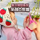 우리돈농장 | 딸기체험농장 포레스트벨 솔직 후기, 딸기 수확부터 다양한 체험까지