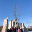 황금발 태권도장 이미지