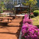 거제 옥포도뮤토2단지 이미지