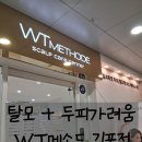 공부시작김포 | WT메소드 김포점 , 김포두피관리 꾸준하게 받고있는 내돈내산 솔직후기