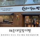 청계천에서 만난 해운대달맞이빵