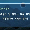 다운공인중개사사무소 이미지