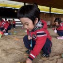 초롱목장 이미지