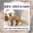 예쁜강아지 | 아요삐 강아지 조끼 후기 중형견·대형견옷 예쁜 겨울옷 득템
