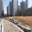 선수학학원 이미지