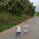 어깨동무어린이집 이미지