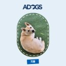 지용산인 | 임보가 운명이 된 '지용이' | 애니먼 협동조합 유기견 입양 그 네번째 이야기