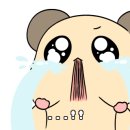 디자인오즈 이미지