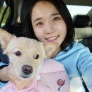 어강동물병원 이미지