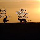 반여착한동물병원 이미지